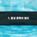 강화디지털보청기 이미지