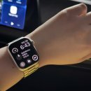 설기조아 | 대전 당일치기 | 빵지순례 | 성심당 | 딸기설기 | 몽심 | 정동문화사 | 광천식당 | 꿈돌이 소품샵 투어