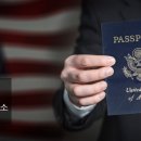 미래로행정사 이미지