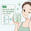 여름 피부 관리 방법 듀이트리 토너패드 홍조 AC 진정 PX화장품 네 통 써본 후기
