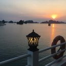 별빛물든바다 이미지