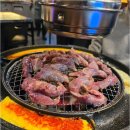 신마포갈매기 이미지