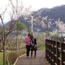 나무테크 이미지