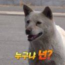 갑순이농장