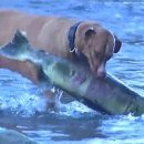 신기한공인중개사사무소 이미지