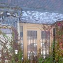 아사비야 이미지