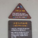 꿈도리 이미지