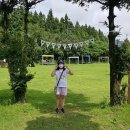 웅지승마센터 | 제주한달살기 시즌5 D30 제주승마 체험 웅지승마센터, 송훈파크 베이커리 카페 하이드브래드