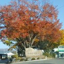 화산면사무소 이미지