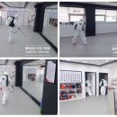 가좌 품 태권도장 이미지