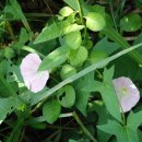 석부농장 이미지