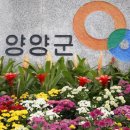 양양군 양양생활체육센터 이미지