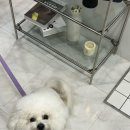 오아, our happy hour 이미지