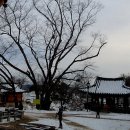 도피안사 - 1360 | 도피안사