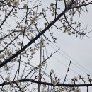 하얀정원 | 전주 외곽 대형 카페 '르노트르', 드라이브스루와 갤러리 정원을 품은 하얀 건물 방문후기