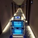 나인호텔 이미지