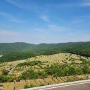 삼덕공원 앞 이미지