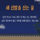 신발꿈 해몽 새신발사는꿈 남의 신발꿈 해몽 이미지