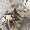 안남 | 배탈나도 난 몰라 : 냉동꽃게 양념게장 만들어보기(후기:배탈안남)