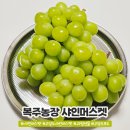 복주농장 이미지