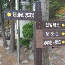 양지꽃펜션 이미지