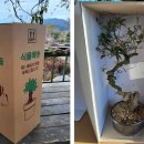 들뫼영농조합법인 이미지