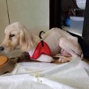 제호농장 이미지