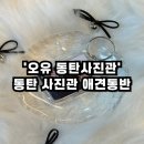 동탄사진관 애견동반 가족사진 &#39;오유 동탄사진관&#39; 방문 후기 / 첫 가족사진, 반려동물 동반 사진관