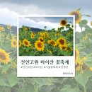 진안고원 로컬푸드 플랫폼 | 2025 진안 가을꽃축제 마지막날 | 무료 음식 &amp; 인생샷 명당 꿀팁까지!