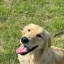 더베이호텔(The Bay Hotel) 이미지