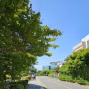 낙동강하구둑 전망대 이미지