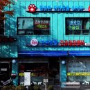 굿파파24시 반려동물 건강검진센터 이미지