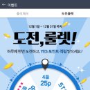 조선참치 - 구미시 | 조선참치
