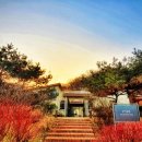 닻미술관 이미지