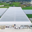 날개농장 이미지