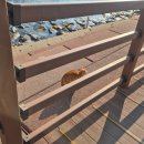 수변로상점 | [부산] 여자 혼자 3박 4일 광안리 여행 총정리