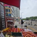 야채과일싼집