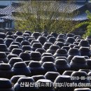 외송중앙길 Daum카페