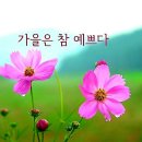 9월.21일.월요일 간추린 뉴스 이미지