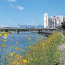 보훈 당구장 이미지