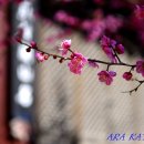 (주)건축사사무소 아라가야 이미지