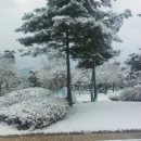 주형농장 이미지