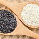 신풍초등학교 이미지