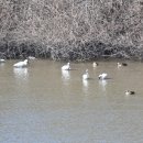 세종환경 이미지