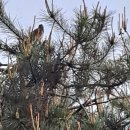 노래공원 이미지