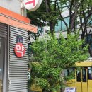 사암부천한의원 | 부천 신중동한의원 :: 체질진단(상추,깻잎,무), 사암침 내돈내산 후기 (운영시간, 주차 정보)