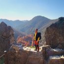 장태산휴양림 이미지