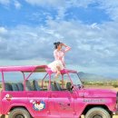 영해목장 | 나트랑 판랑 사막투어 가격 시간 데이투어 추천