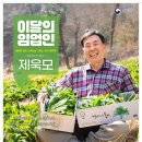 약샘골누리농원 포인트데일리