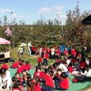 유동유치원 이미지